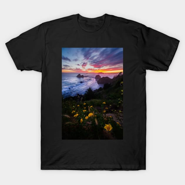 Flowers at Sunset T-Shirt by JeffreySchwartz